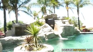 Petite Aliya Brynn gets her pussy filled by 21 big black cocks