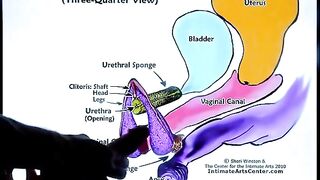 Squirting tutorial 2 with Mr. PussyLicking’s expert tips