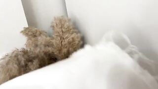 Guy sniffed panties and fucked curva in a wet pussy, showcasing real orgasm intensity