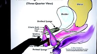 How to Squirt? The fastest explanation ever by Mr. PussyLicking!
