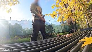 Stranger wanking his cock in the park, a slutty MILF can't resist