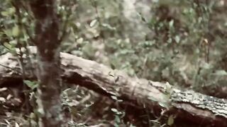 Lea has a passionate threesome sex with two guys in the wood