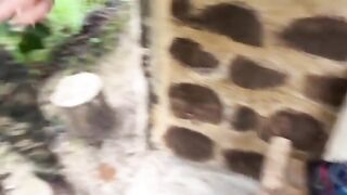 A couple getting caught for fucking in the jungle