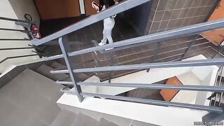 Two fake agents fucked Chilean model with perfect ass in elevator and toilet