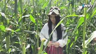 Security guard caught a thief in the cornfield and penalized her on the spot
