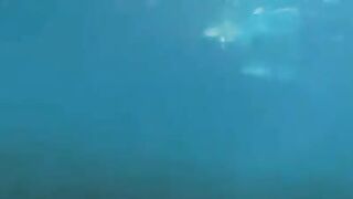 Fucking aqualangists at the bottom of the sea