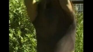 A man plays with his big cock in the hayloft, teasing with his fingers