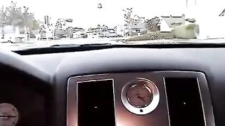 Nikki makes a blowjob right in the car, it is very daring!