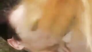 Blonde babe had sex with a young guy in the park