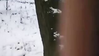 A brave guy tried to freeze dick and pussy with time, just like in the thrilling scenes from Freeze