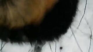 Winter street blowjob with a girl in stockings