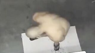 A naked man was seen on a hidden shower camera
