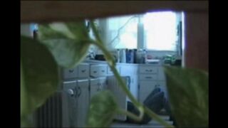 A married couple has no shame and fucks freely at home