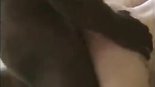 A guy has bath and sex with his wife and friend in turn