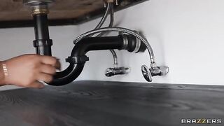 When the plumber arrived, the situation became more complicated