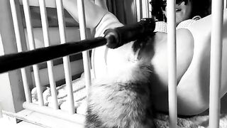 A day in the life of a Kitten: Ep.1 - Spraying on her tail