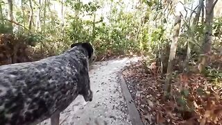 A couple is having fun in the jungle, getting wild and messy