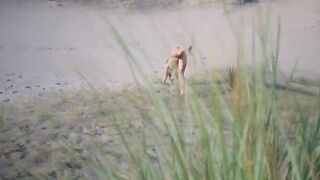 She was lucky to meet a guy on the nudist beach